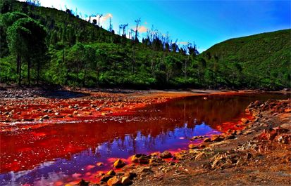 10 Kawasan Perairan Mematikan di Dunia