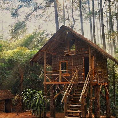 Ingin Menyatu dengan Alam, Coba Tidur di Rumah Pohon Ini