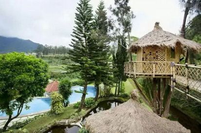 Ingin Menyatu dengan Alam, Coba Tidur di Rumah Pohon Ini