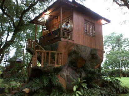 Ingin Menyatu dengan Alam, Coba Tidur di Rumah Pohon Ini
