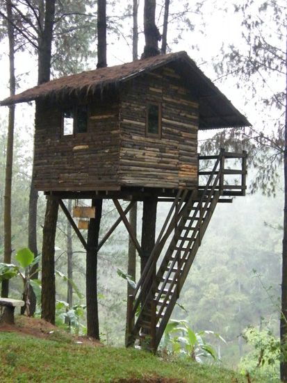 Ingin Menyatu dengan Alam, Coba Tidur di Rumah Pohon Ini