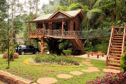 Ingin Menyatu dengan Alam, Coba Tidur di Rumah Pohon Ini