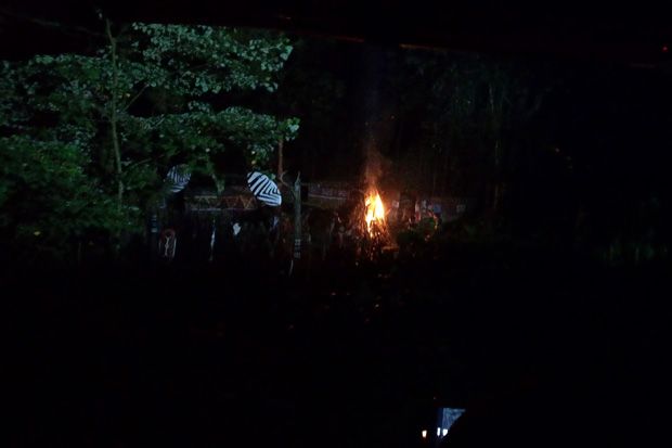Safari Malam Spesial Lebaran Tawarkan Petualangan di Hutan Gelap