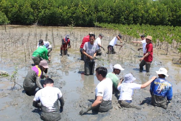 Kurangi Dampak Abrasi Laut, Agung Sedayu Group Tanam 1.000 Mangrove