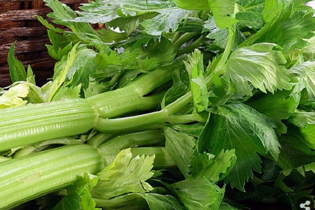 Jaga Keseimbangan Cairan Tubuh dengan 8 Makanan Kaya Sodium
