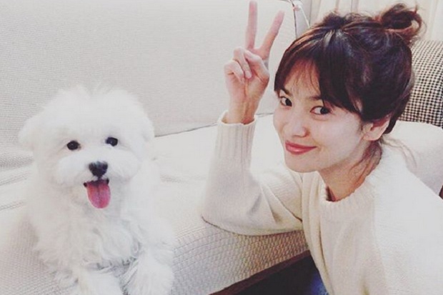 Song Hye Kyo Kunjungi Rumah Orang Tua Song Joong Ki
