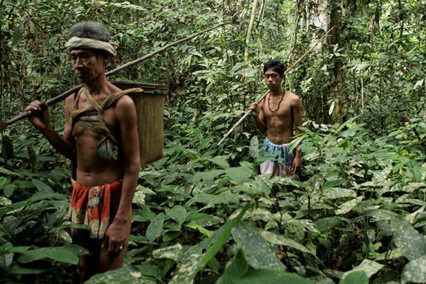 Suku-suku Pedalaman Indonesia yang Menolak Modernisasi, Siapa Saja Mereka