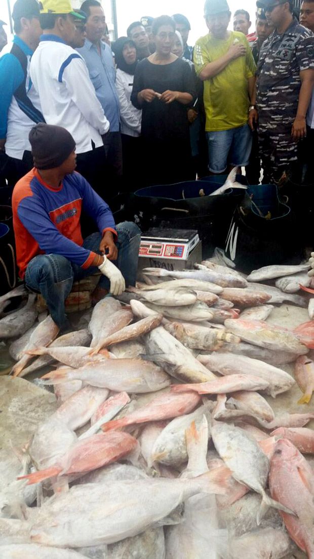 Susi Makin Pede Tanpa Cantrang Ekosistem Laut Indonesia Membaik