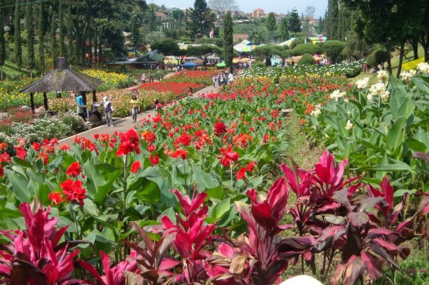 10 Taman Bunga Terindah di Indonesia