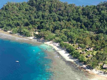 Terumbu Karang Terindah di Dunia, Raja Ampat Urutan Pertama