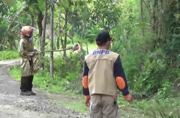 Serangan Tawon Gemparkan Warga Sukomoro Magetan