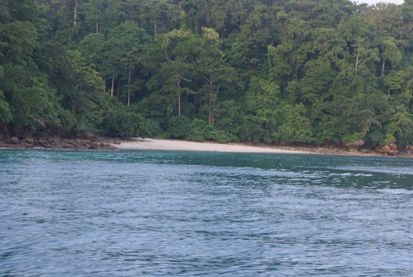Jangan Lewatkan Teluk Indah Ini dari Daftar Travelingmu