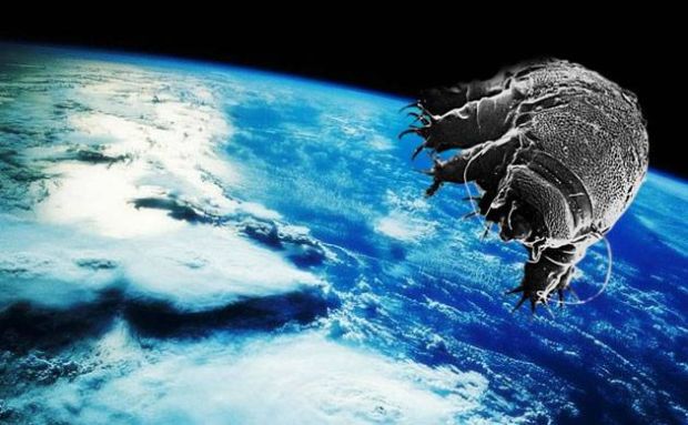 Ahli Ungkap Israel Mengembangbiakkan Makhluk Terkuat di Bulan