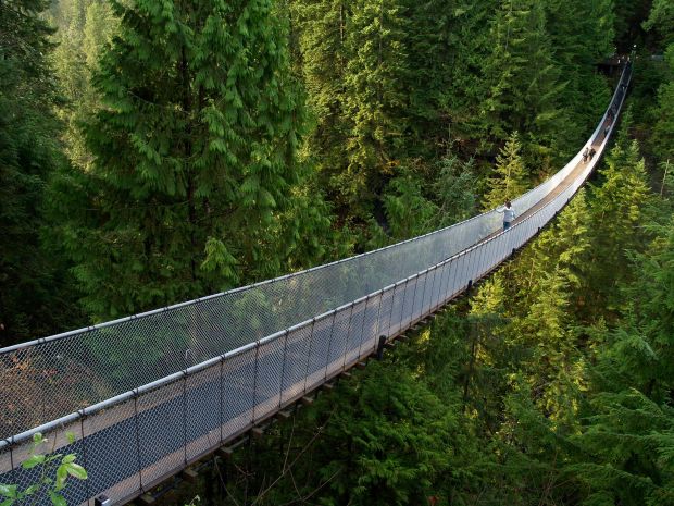Deretan Jembatan Menakjubkan di Dunia