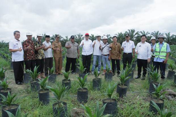 Dua Kali Raih Rekor MURI, KUD Barokah Jaya Sangat Layak Diapresiasi