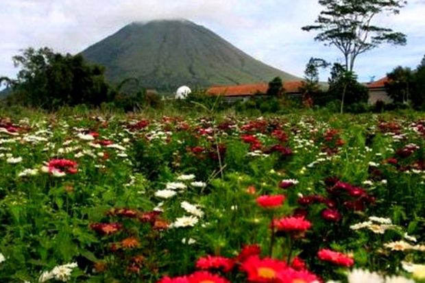 10 Taman Bunga Terindah di Indonesia