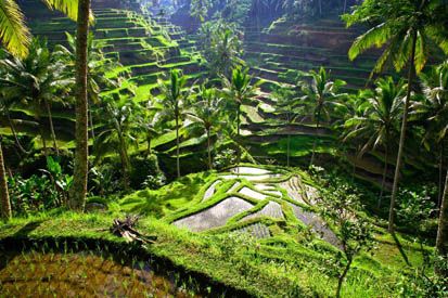 5 Kota di Indonesia Ini Jadi Tempat Idaman untuk Pensiun