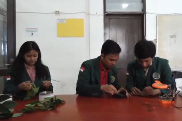 3 Mahasiswa USU Ciptakan Pembasmi Nyamuk Elektrik Ramah Lingkungan