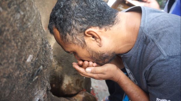Fenomena Air Keluar dari Batang Pohon Hebohkan Warga Baubau