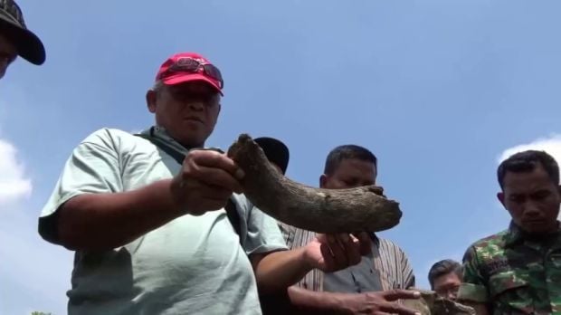 Tulang Belulang 'Zaman Old' Ditemukan di Telaga Purbakala Ngawi