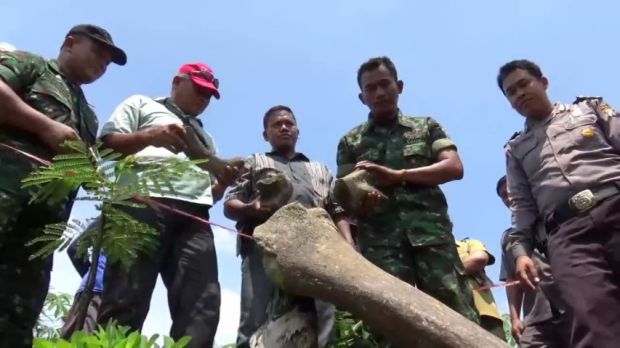 Tulang Belulang 'Zaman Old' Ditemukan di Telaga Purbakala Ngawi