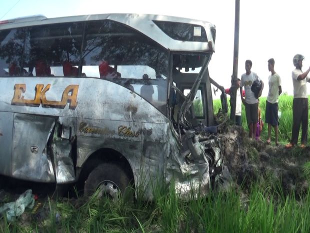 Tabrakan Beruntun Akibat Ugal-ugalan, 3 Bus Nyebur ke Sawah 8 Penumpang Luka