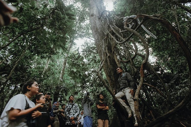 Lelah Hilang Usai Berjumpa Grace di Taman Nasional Gunung Leuser