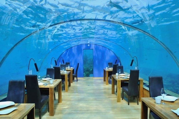 7 Hotel Bawah Laut dengan Pemandangan Luar Biasa!
