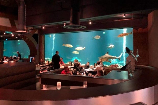 7 Hotel Bawah Laut dengan Pemandangan Luar Biasa!