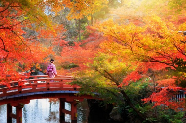 Ini Waktu yang Tepat untuk Liburan ke Jepang
