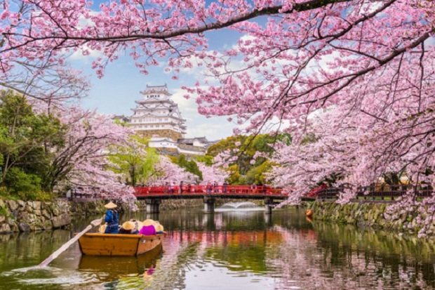 Ini Waktu yang Tepat untuk Liburan ke Jepang