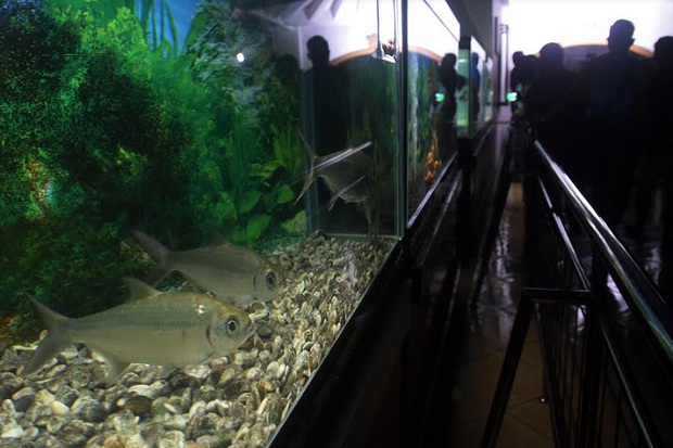 Yuk, Nikmati Wisata Malam TWP River World Purbasari