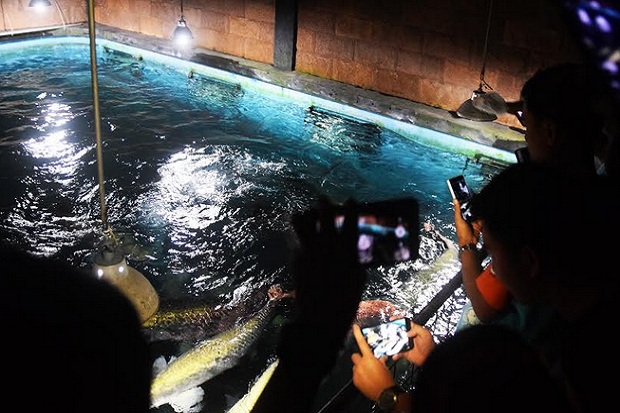 Yuk, Nikmati Wisata Malam TWP River World Purbasari