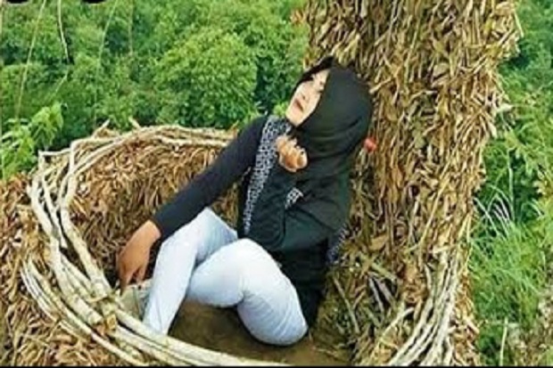 4 Destinasi Bertema Sarang Burung Ini Diminati Turis