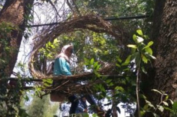 4 Destinasi Bertema Sarang Burung Ini Diminati Turis