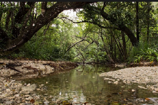 5 Pesona Keindahan Taman Nasional Indonesia