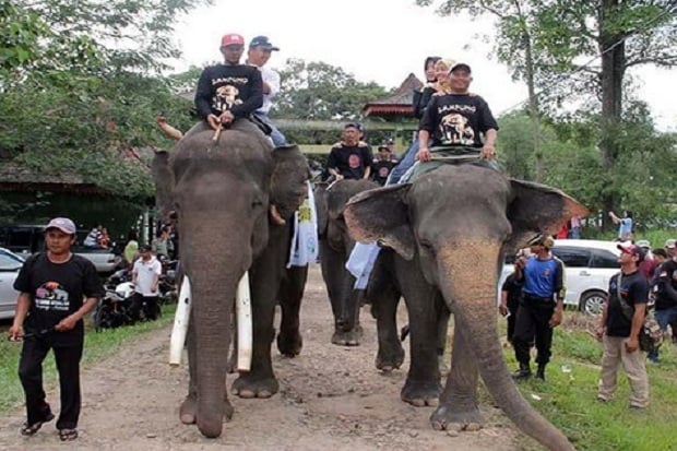 5 Pesona Keindahan Taman Nasional Indonesia