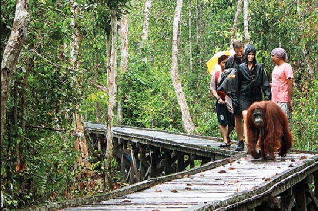 5 Pesona Keindahan Taman Nasional Indonesia