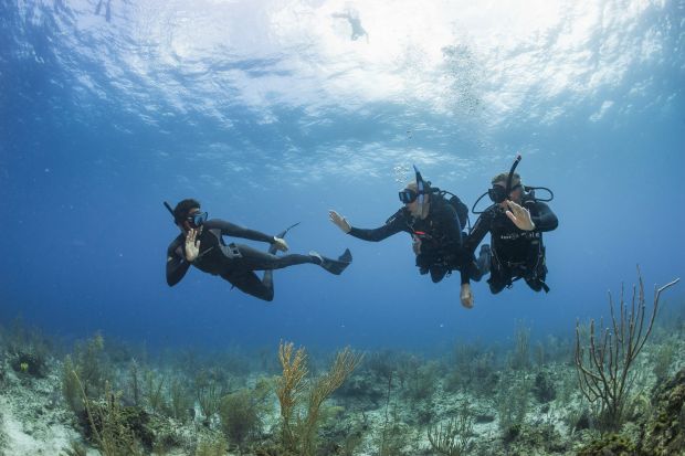 Menyelam Scuba Diving dan Freediving, Apa Bedanya Sih?