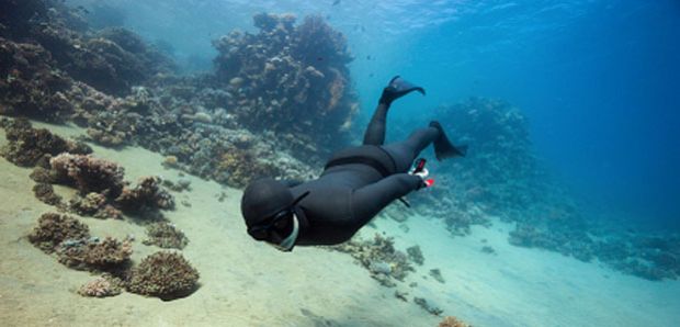 Menyelam Scuba Diving dan Freediving, Apa Bedanya Sih?