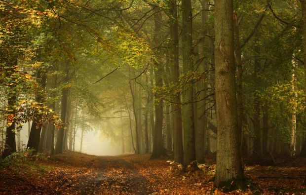 Ini Lokasi Syuting Keren Film-Film Harry Potter