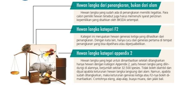 6 Hewan Komoditas Unik nan Mahal dari Indonesia