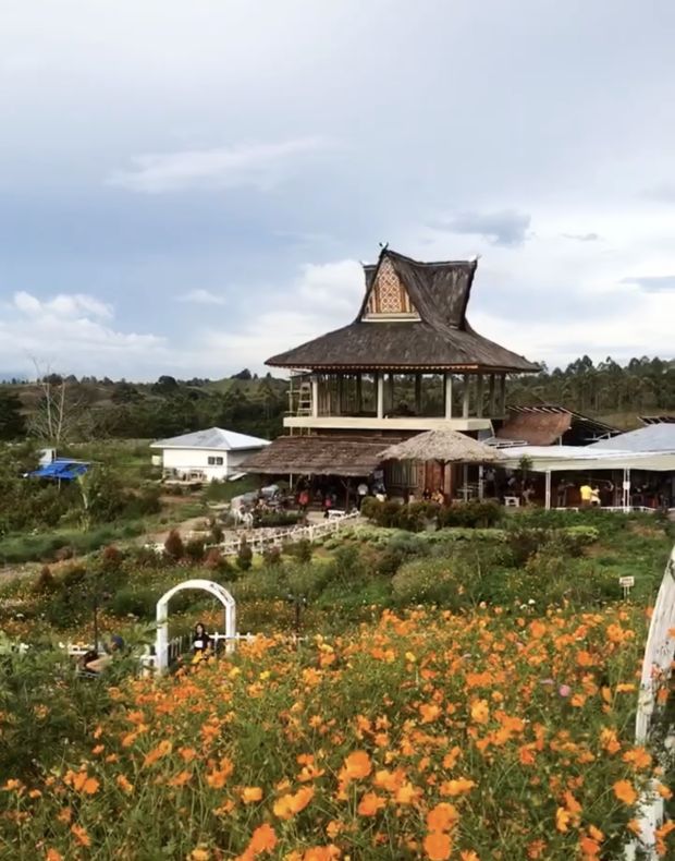 Kebun Madu Efi, Tempat Wisata Instagramable di Puncak 2000 Siosar