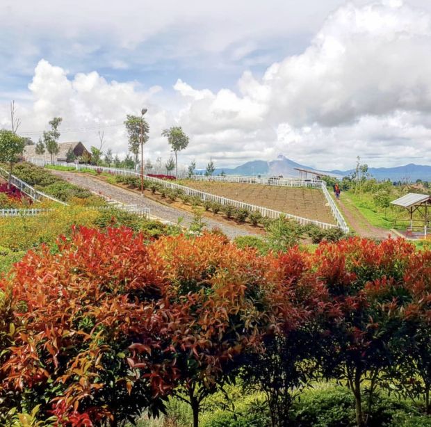 Kebun Madu Efi, Tempat Wisata Instagramable di Puncak 2000 Siosar