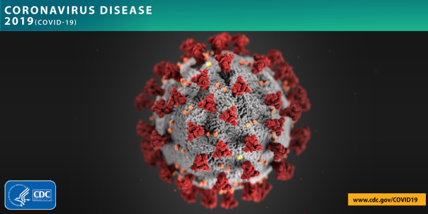Ini Istilah-istilah yang Sering Muncul Saat Kasus Virus Corona
