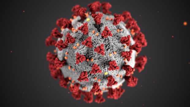 Ini Istilah-istilah yang Sering Muncul Saat Kasus Virus Corona