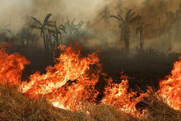 10 Kebakaran Hutan Terparah dalam Sejarah