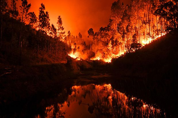10 Kebakaran Hutan Terparah dalam Sejarah