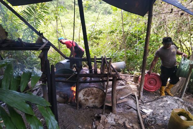 Polisi Gerebek Lokasi Pembuatan Miras Ilegal di Tengah Hutan Papua