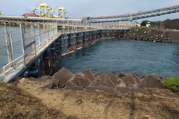 Hiu Paus Terjebak di Kanal PLTU Paiton, Evakuasi Masih Berlangsung